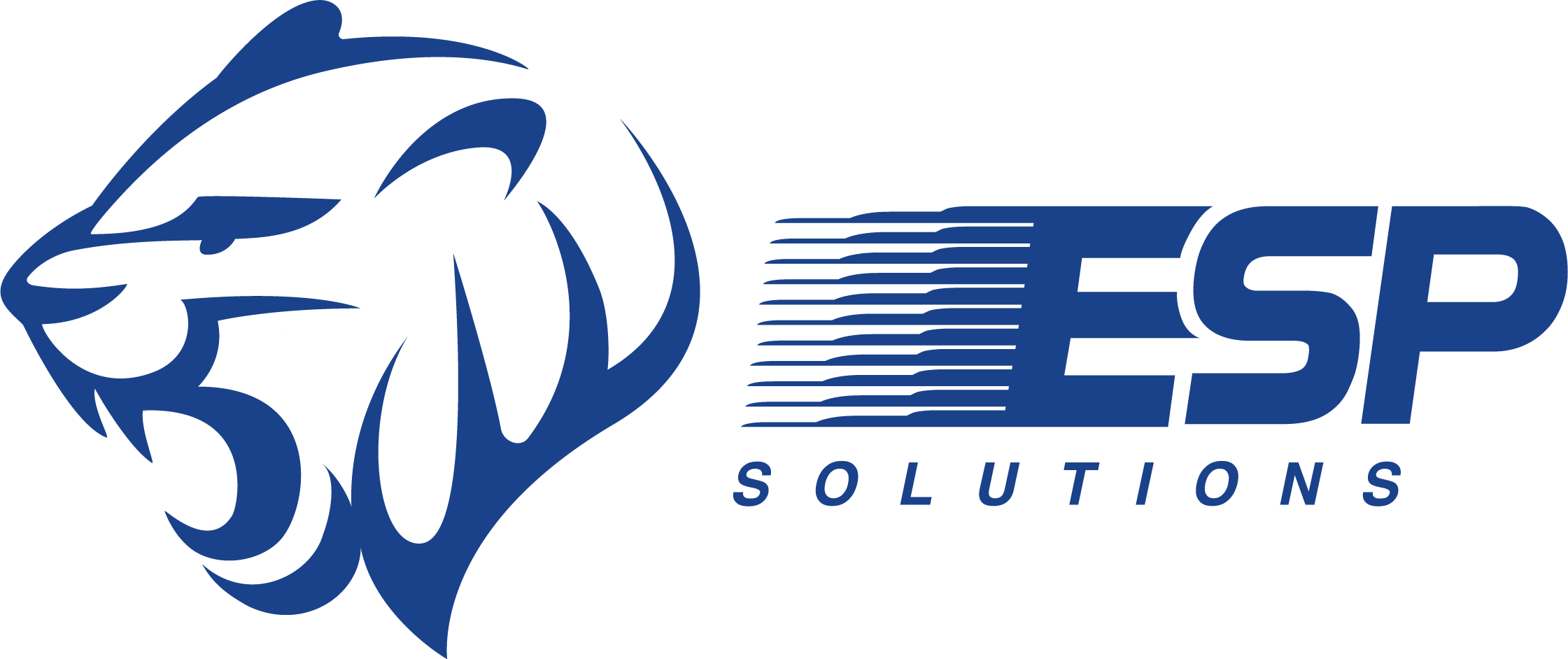 ESP Solutions logo